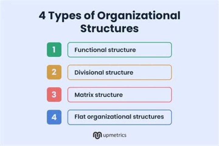 What are the basic forms of organizational design?