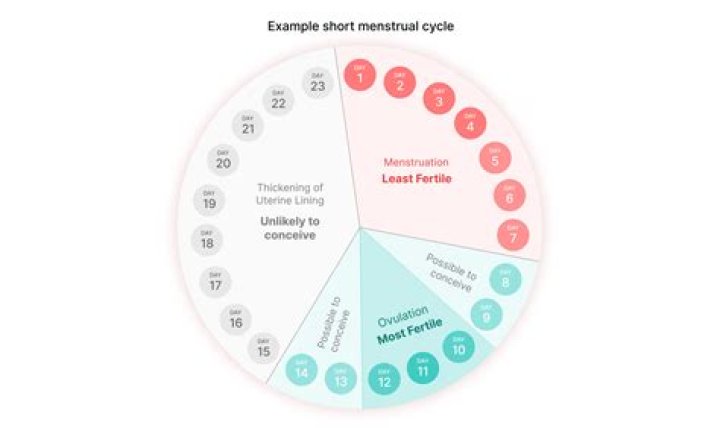 What are the chances of getting cancer twice?