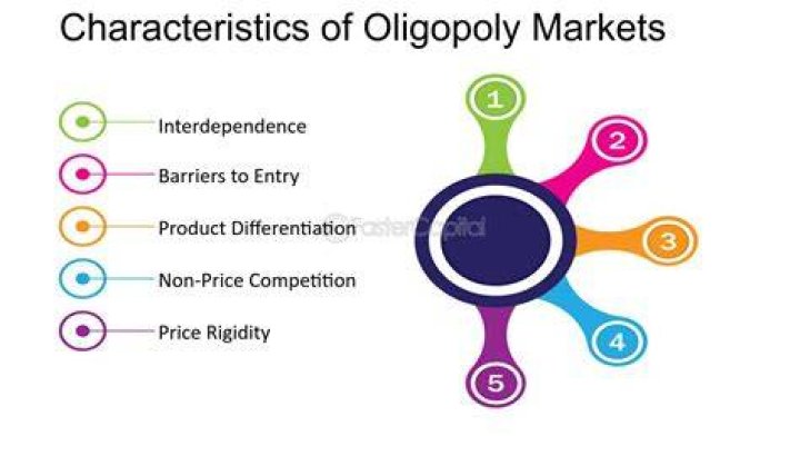 What are the characteristic of an oligopoly market?
