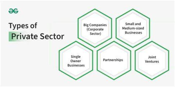 What are the characteristics of private sector enterprises?