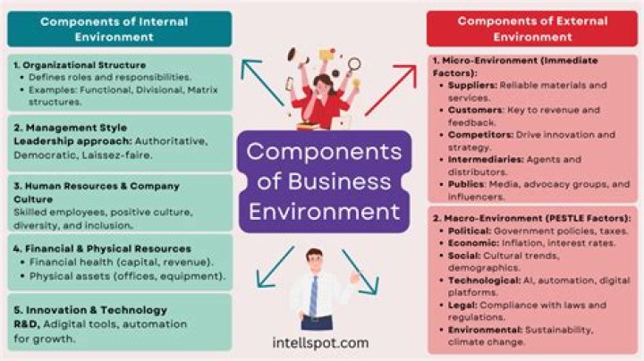What are the components of internal business environment?