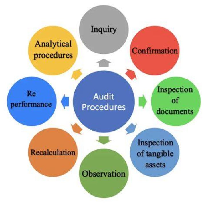 What are the different types of audit procedures?