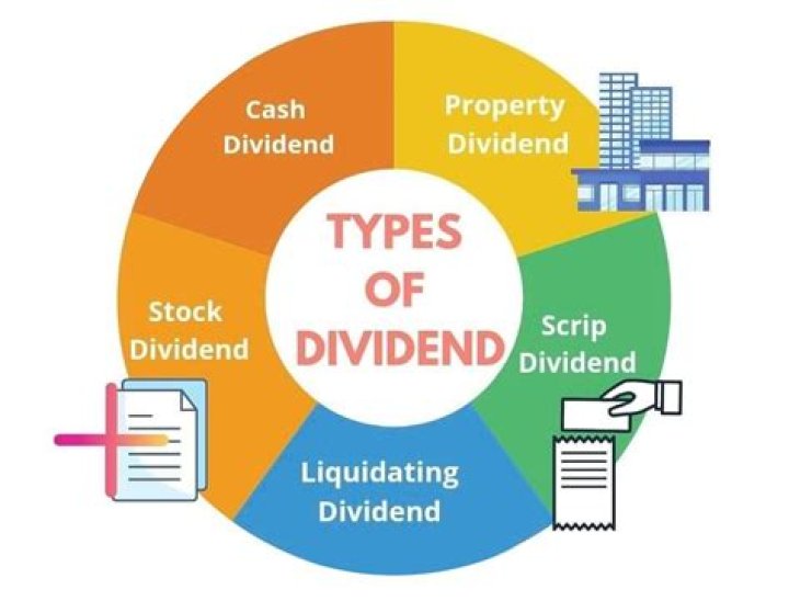 What are the different types of dividends a company may use?