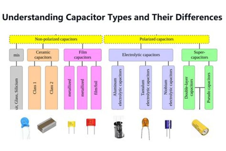 What are the different types of elasticities?