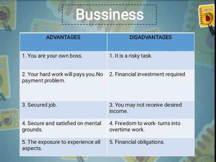 What are the disadvantages of a business?