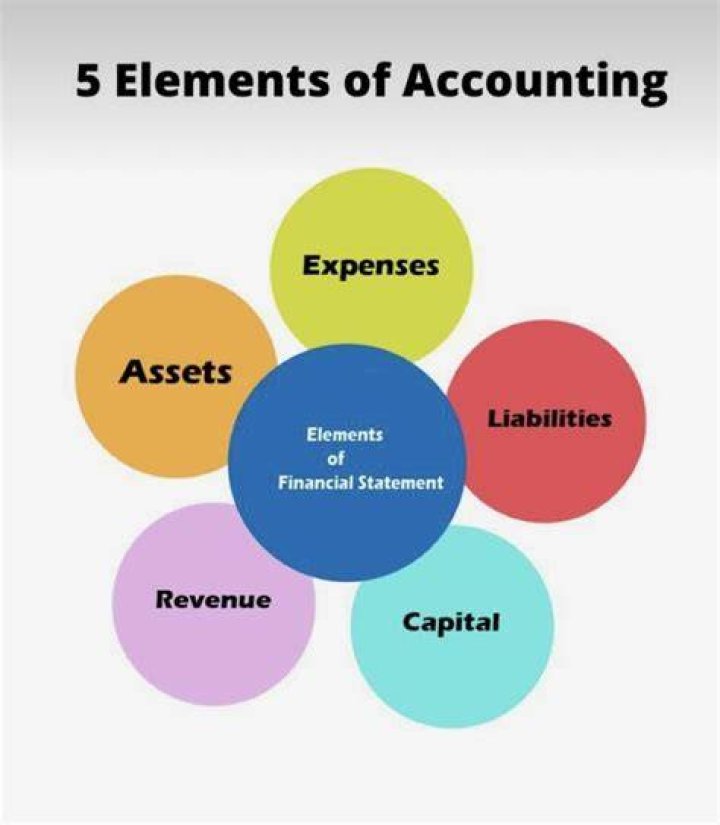 What are the elements of financial elements?