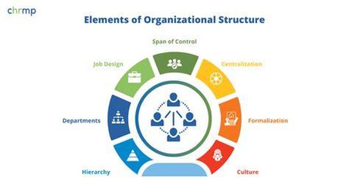 What are the elements of organization?
