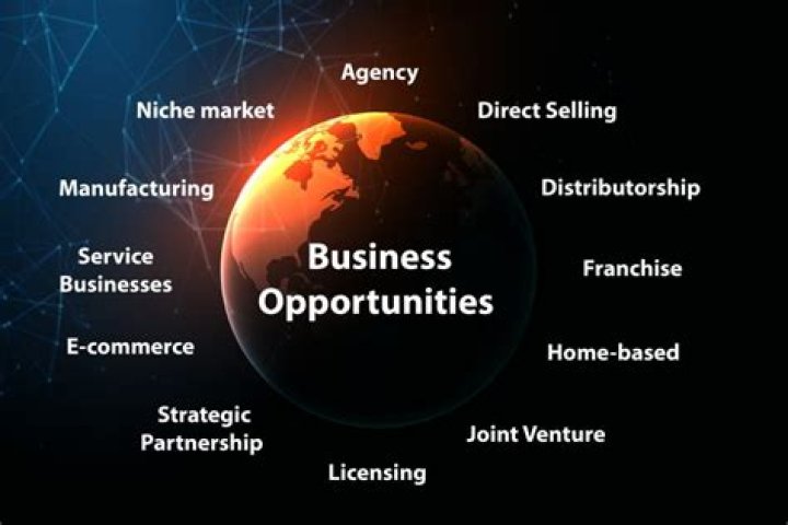 What are the examples of business opportunities?