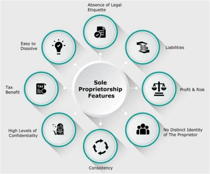 What are the examples of common sole proprietors?