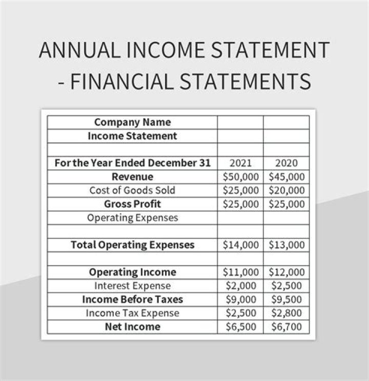 What are the examples of financial statement?