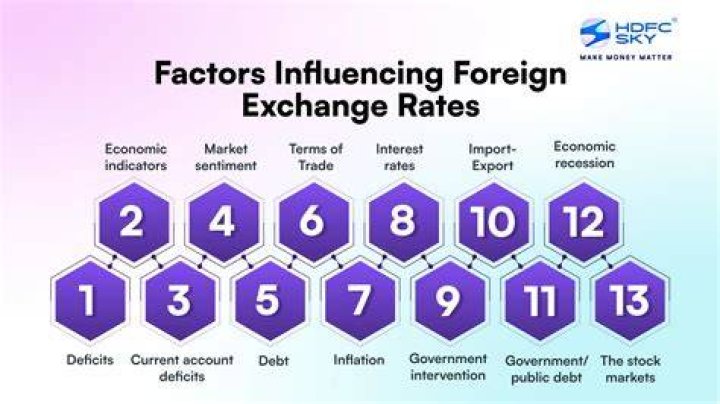 What are the factors affecting foreign exchange rate?