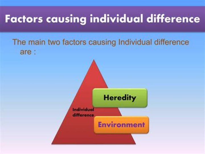 What are the factors causing individual differences?
