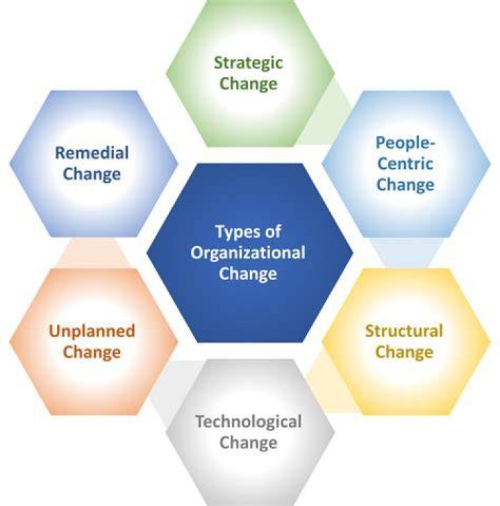 What are the four types of organizational change?