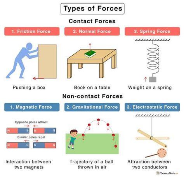 What are the four types of training?