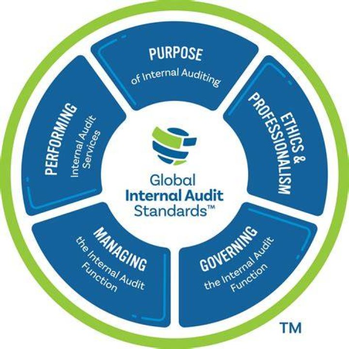 What are the internationally recognized audit standards?