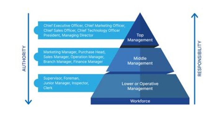 What are the lowest levels of organization?