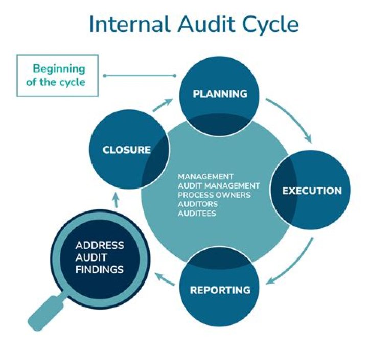 What are the main function and purpose of do auditing?