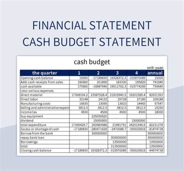 What are the main functions of a cash budget?
