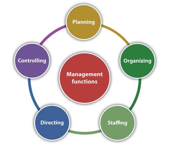 What are the main functions of an organization?