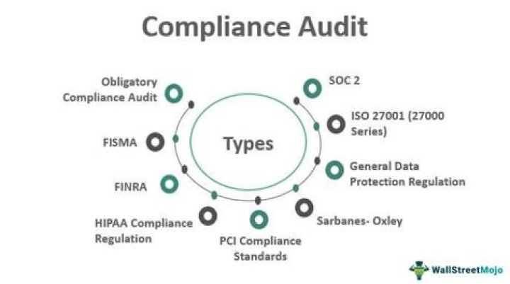 What are the main objectives of audit and compliance process?