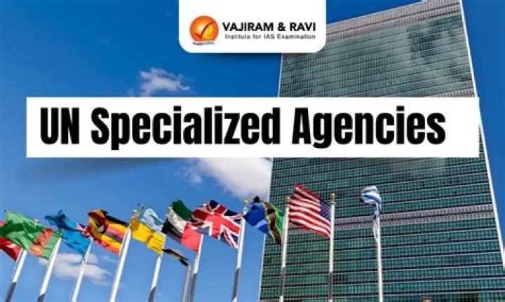 What are the main UN agencies?