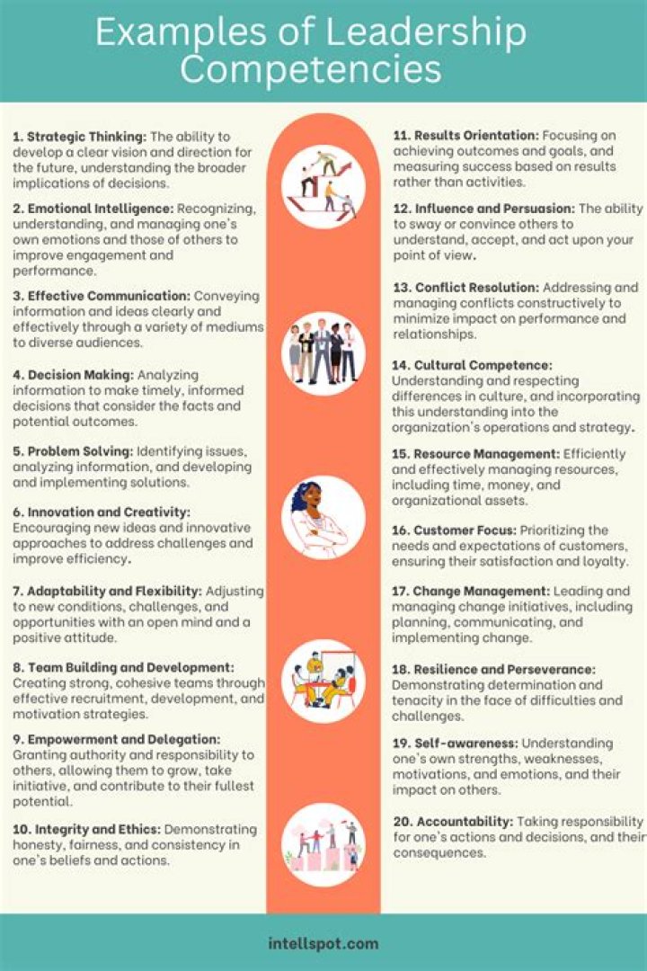 What are the management competencies?