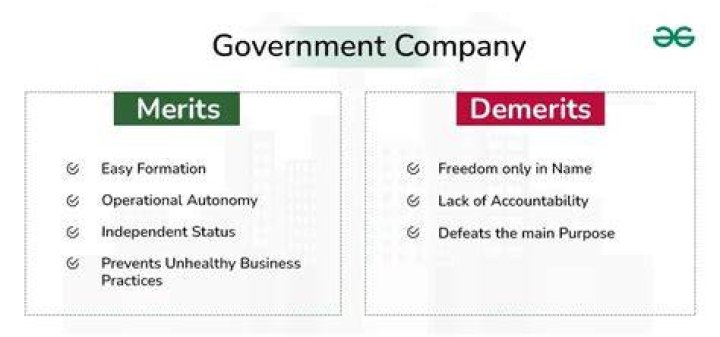 What are the merits and demerits of public corporation?