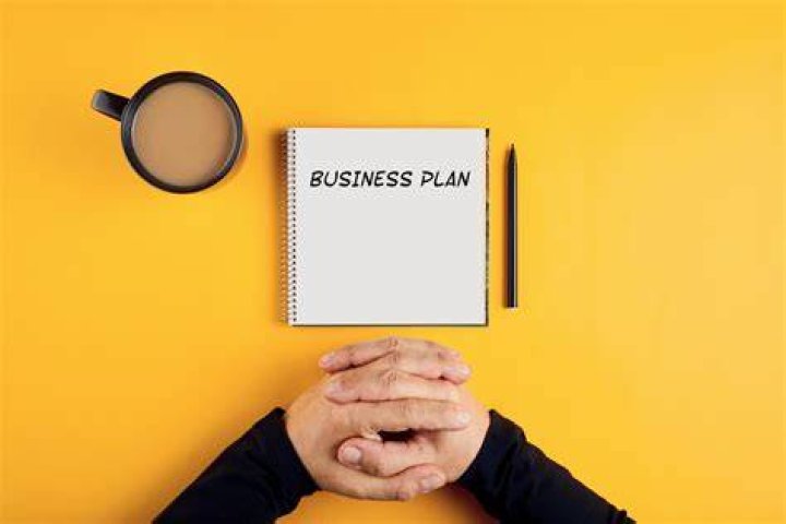What are the needs of a business plan?