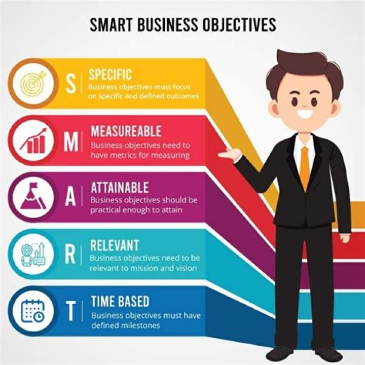 What are the objectives of a private sector business?