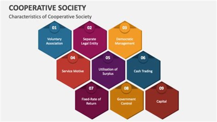 What are the objectives of co-operative?