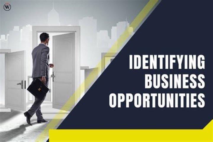 What are the possible business opportunities?