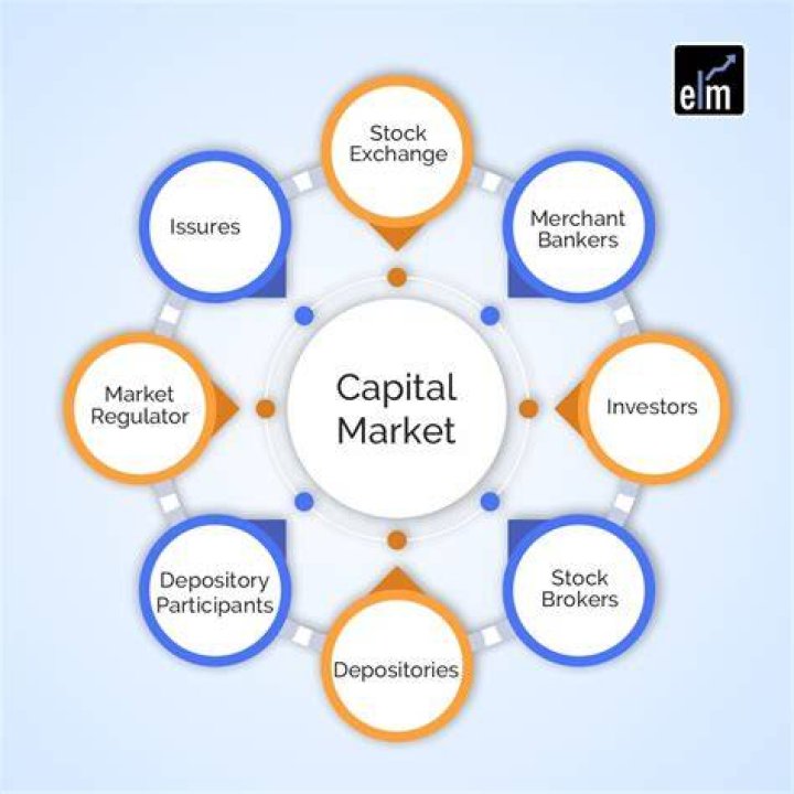 What are the problems of capital market?