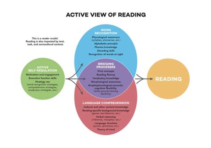 What are the reading problems in elementary education?