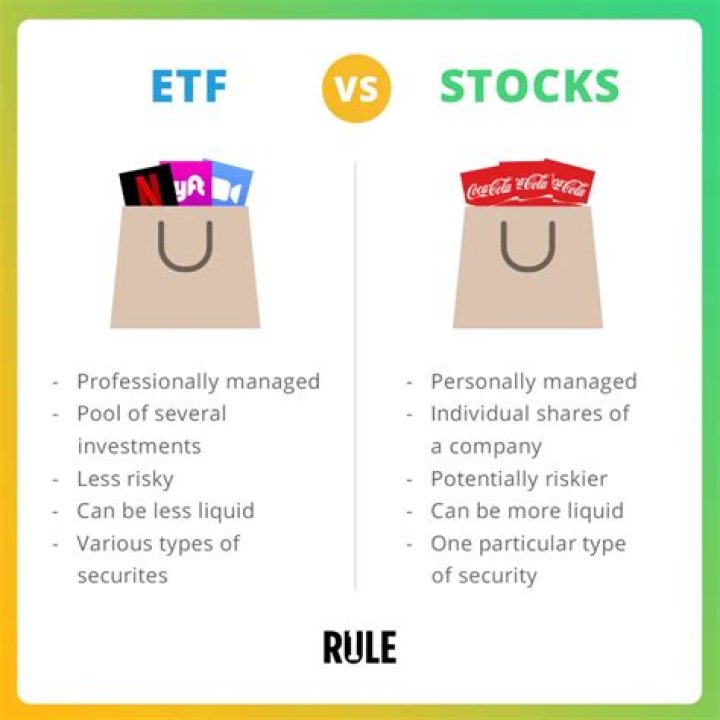 What are the risks of individual stocks?