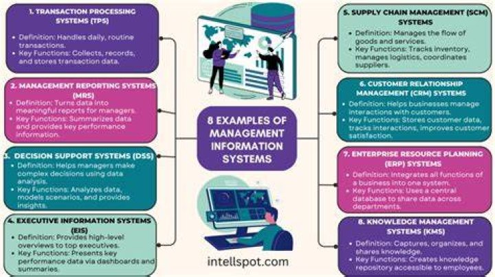 What are the roles of information systems in a business?