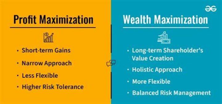 What are the similarities between profit maximization and wealth maximization?