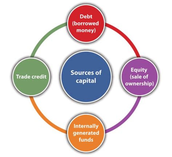 What are the source of capital in business?