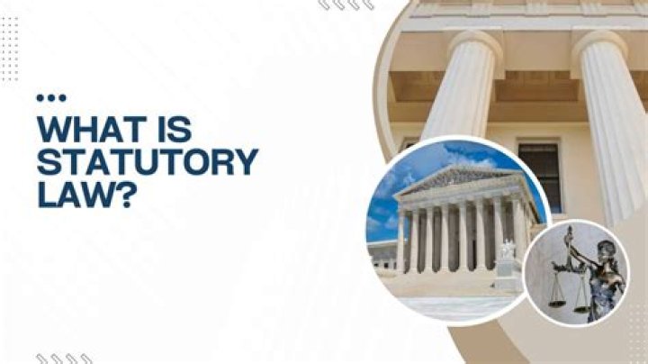 What are the statutory rights of an auditor?