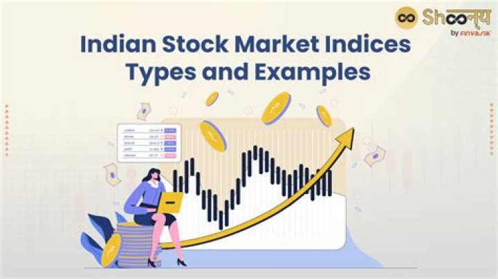 What are the two indices of stock market in India?