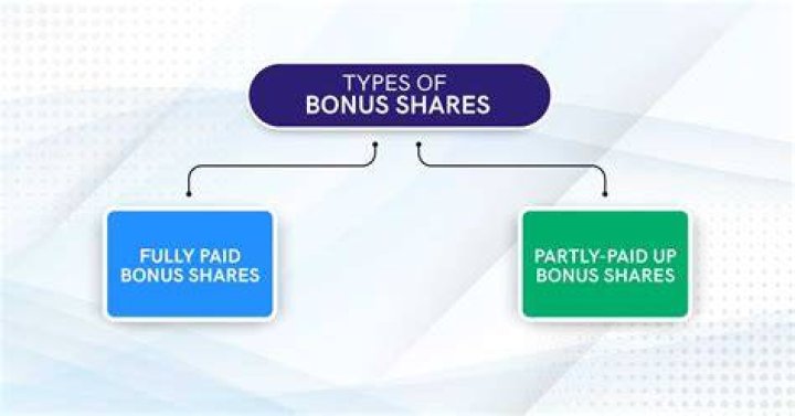 What are the types of bonus shares?