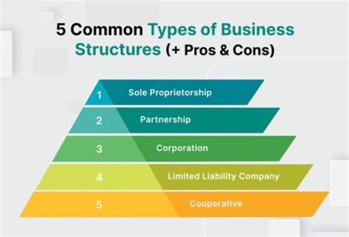 What are the types of the business?