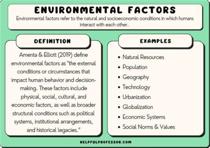 What are the various factors that determine document design and information?