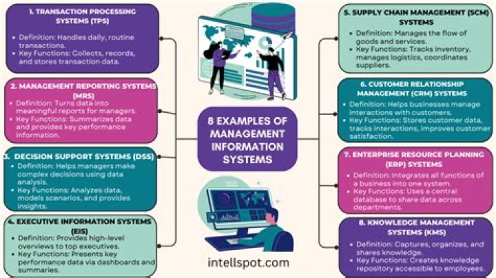 What are the various types of management information system?