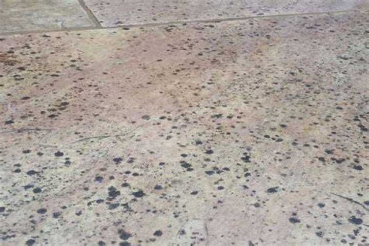 What are those black spots on the sidewalk?
