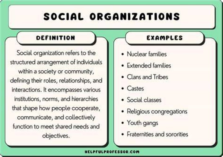 What are three professional organizations?