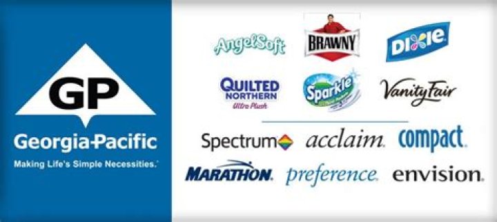 What brands does Georgia-Pacific own?