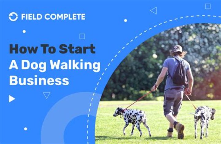 What business category is dog walking?