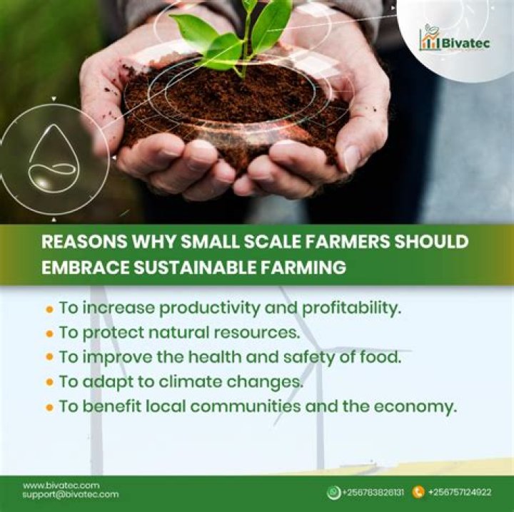 What caused farmers to lose their farms?