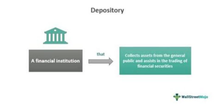 What depository institution is for profit?