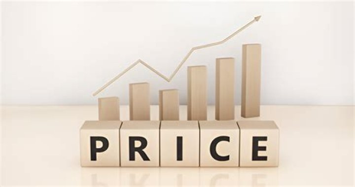What determines the price of a shoe?